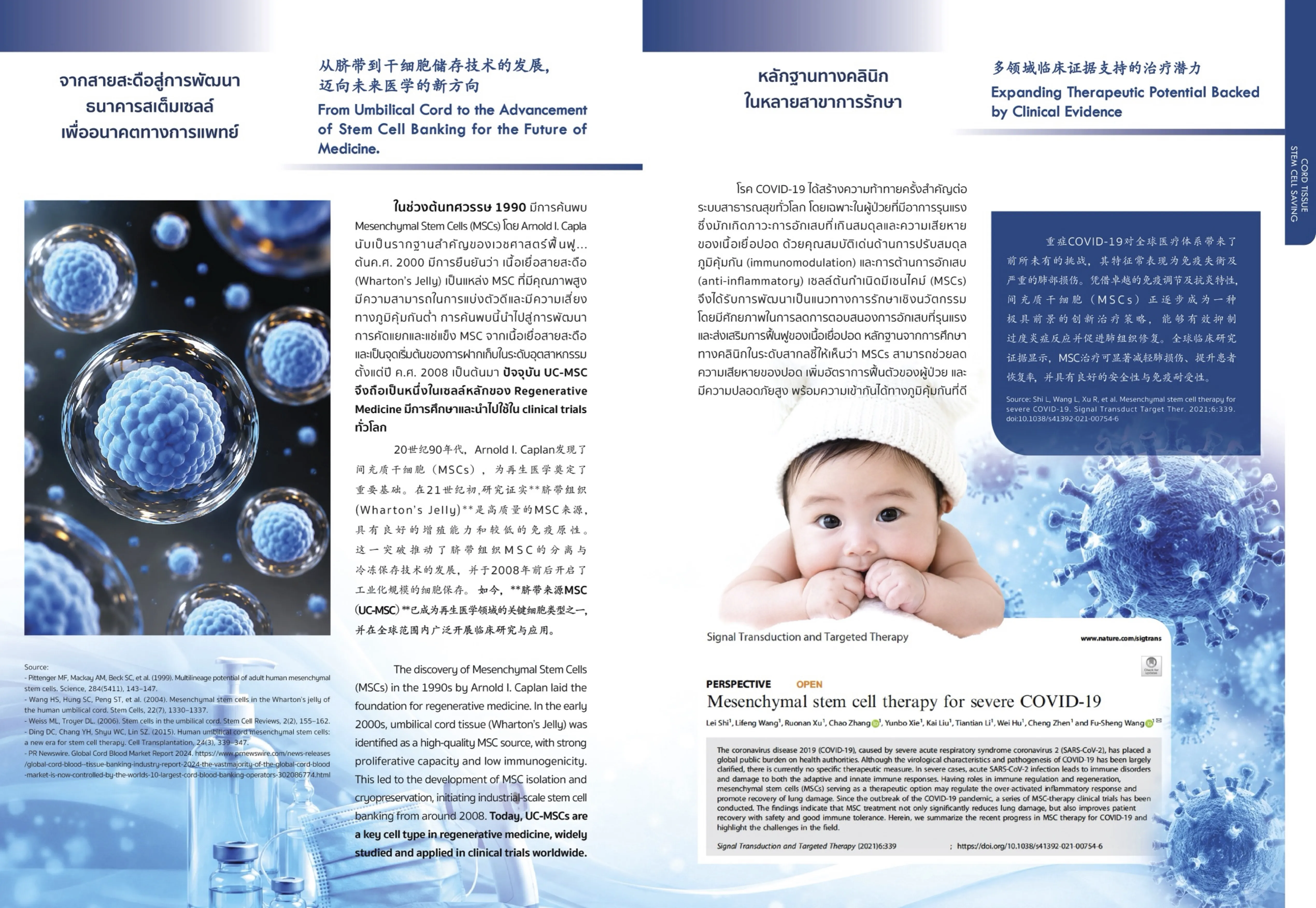 งานวิจัยทางคลินิกและเคสการฟื้นฟูรักษาจริง (Clinical Evidence)