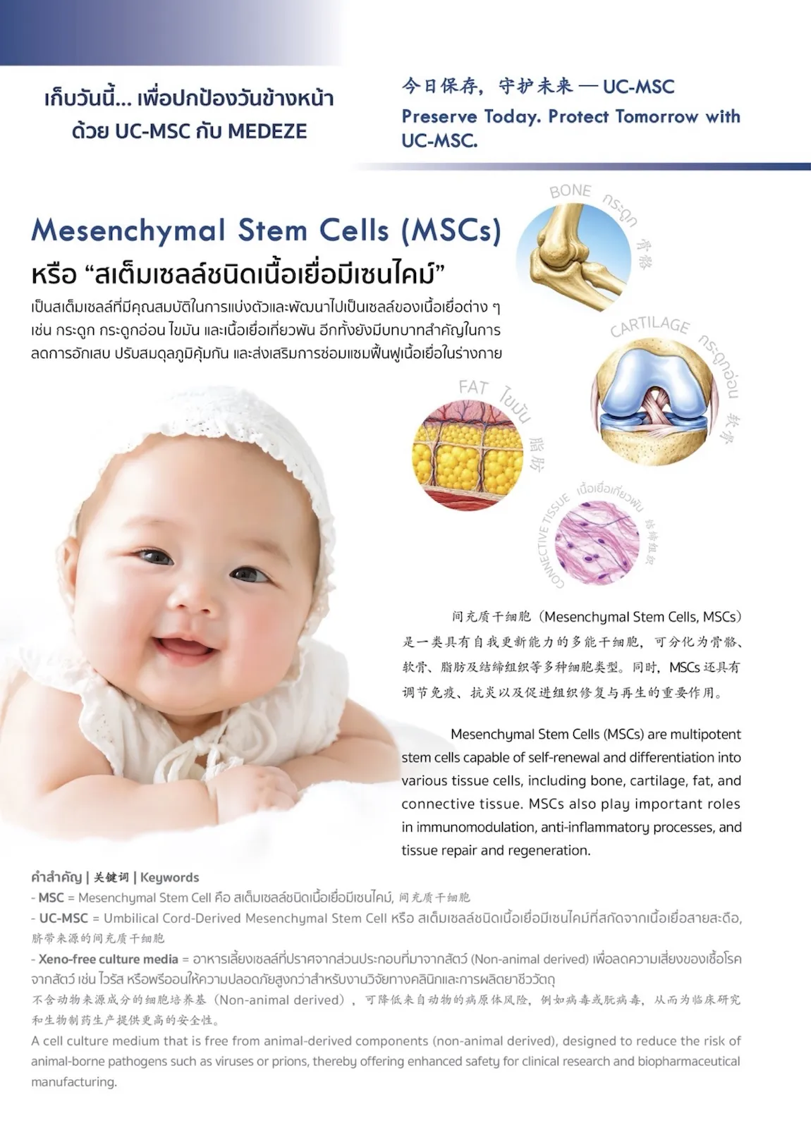 บริการจัดเก็บเซลล์ต้นกำเนิดจากเนื้อเยื่อสายสะดือ (Placenta and Cord Tissue)
