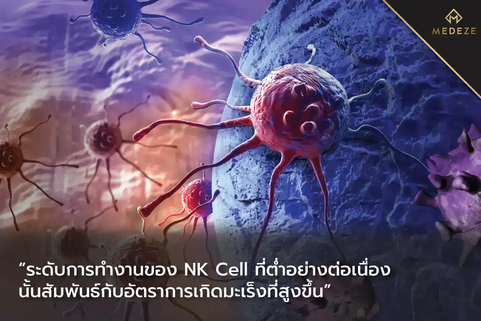 NK Cell