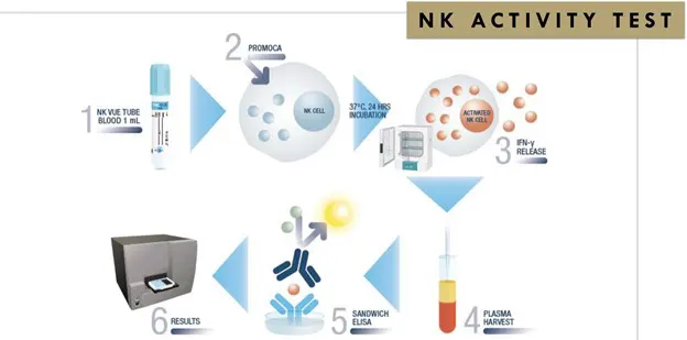 NK Cell