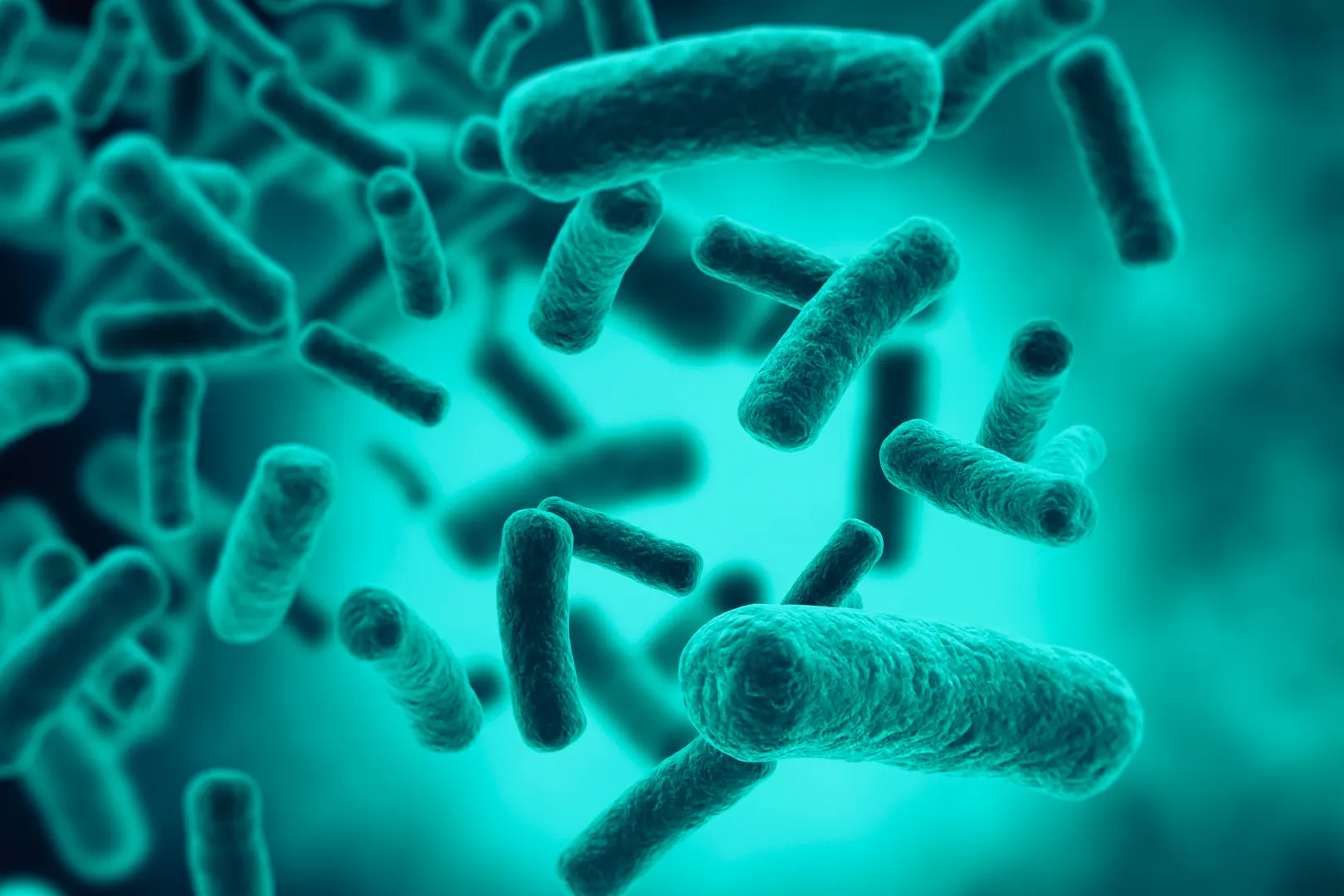 เชื้อไวรัส