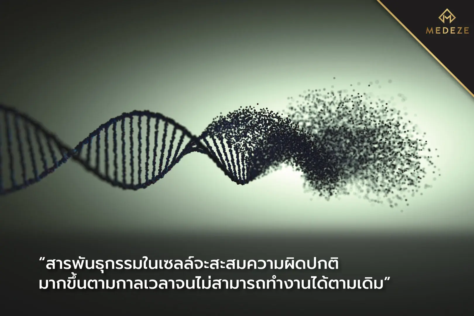 ชะลอความแก่