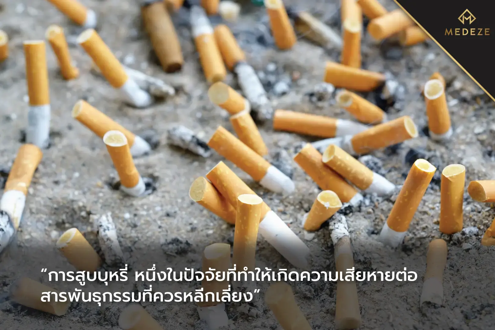 สเต็มเซลล์