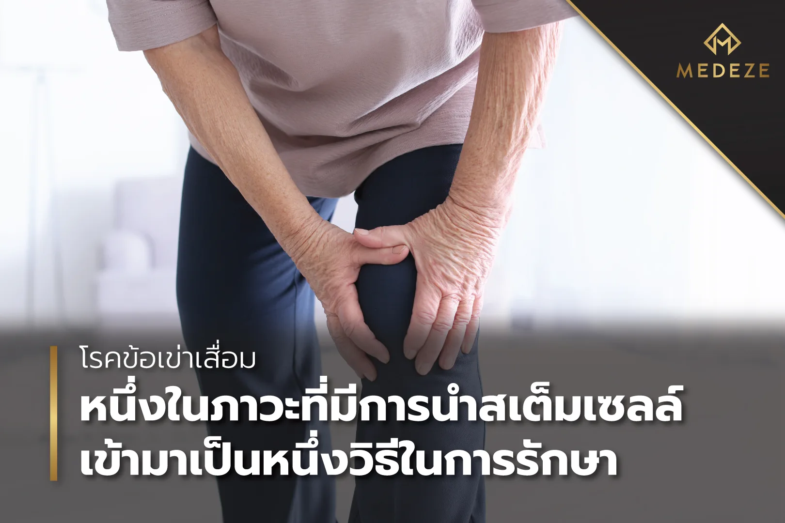 ข้อเข่าเสื่อม