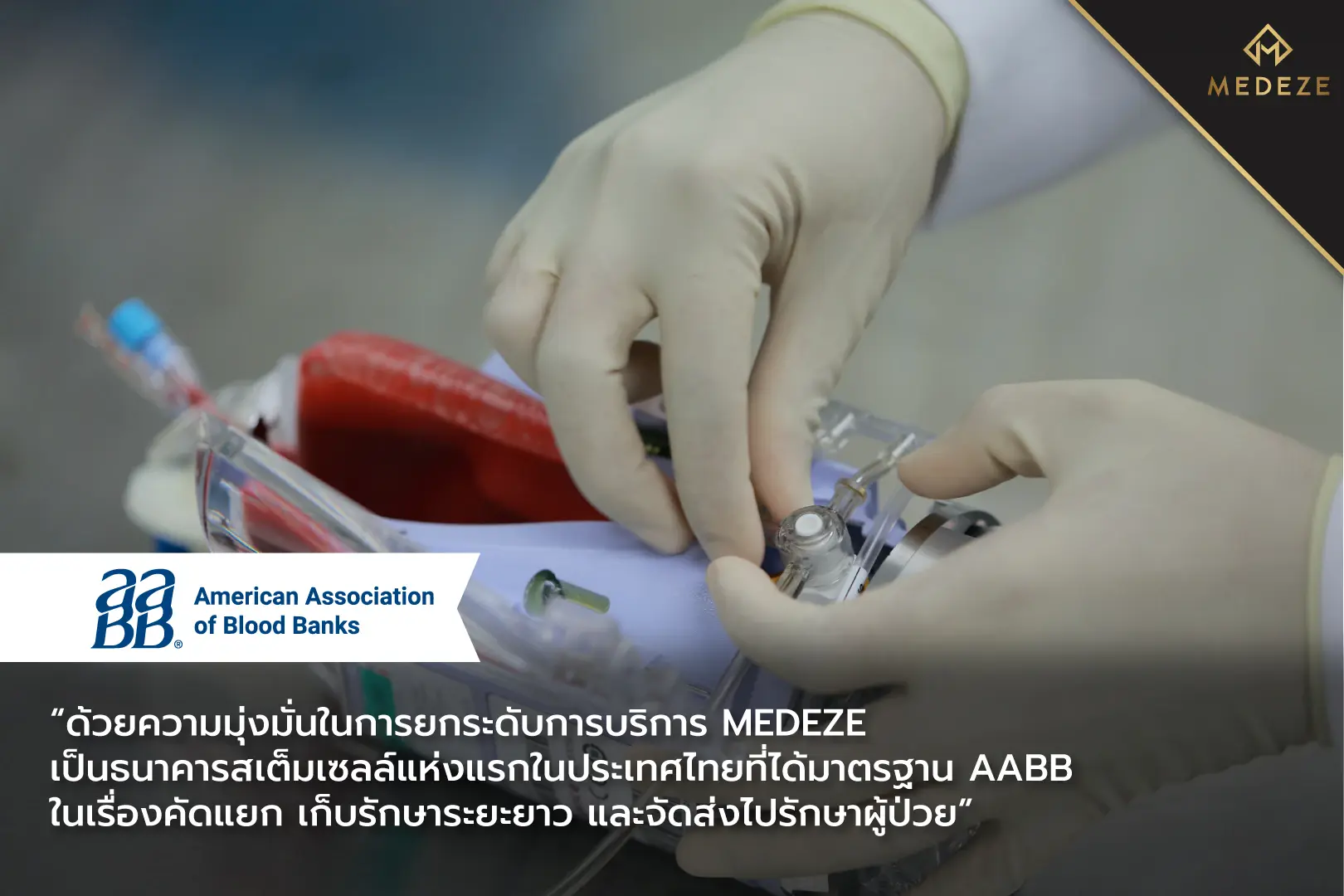 เมดีซกรุ๊ป