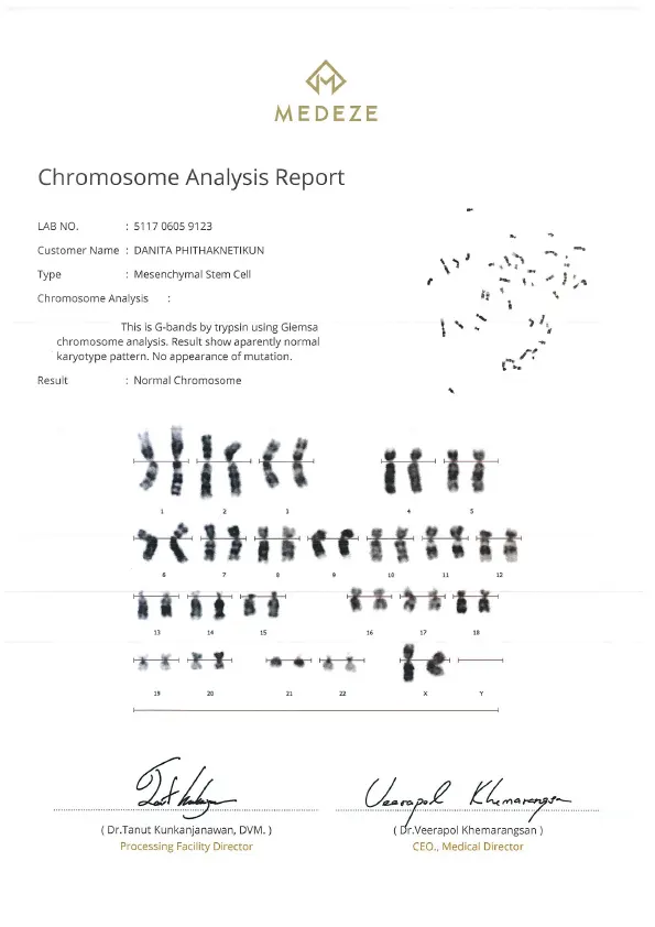 Chromosome