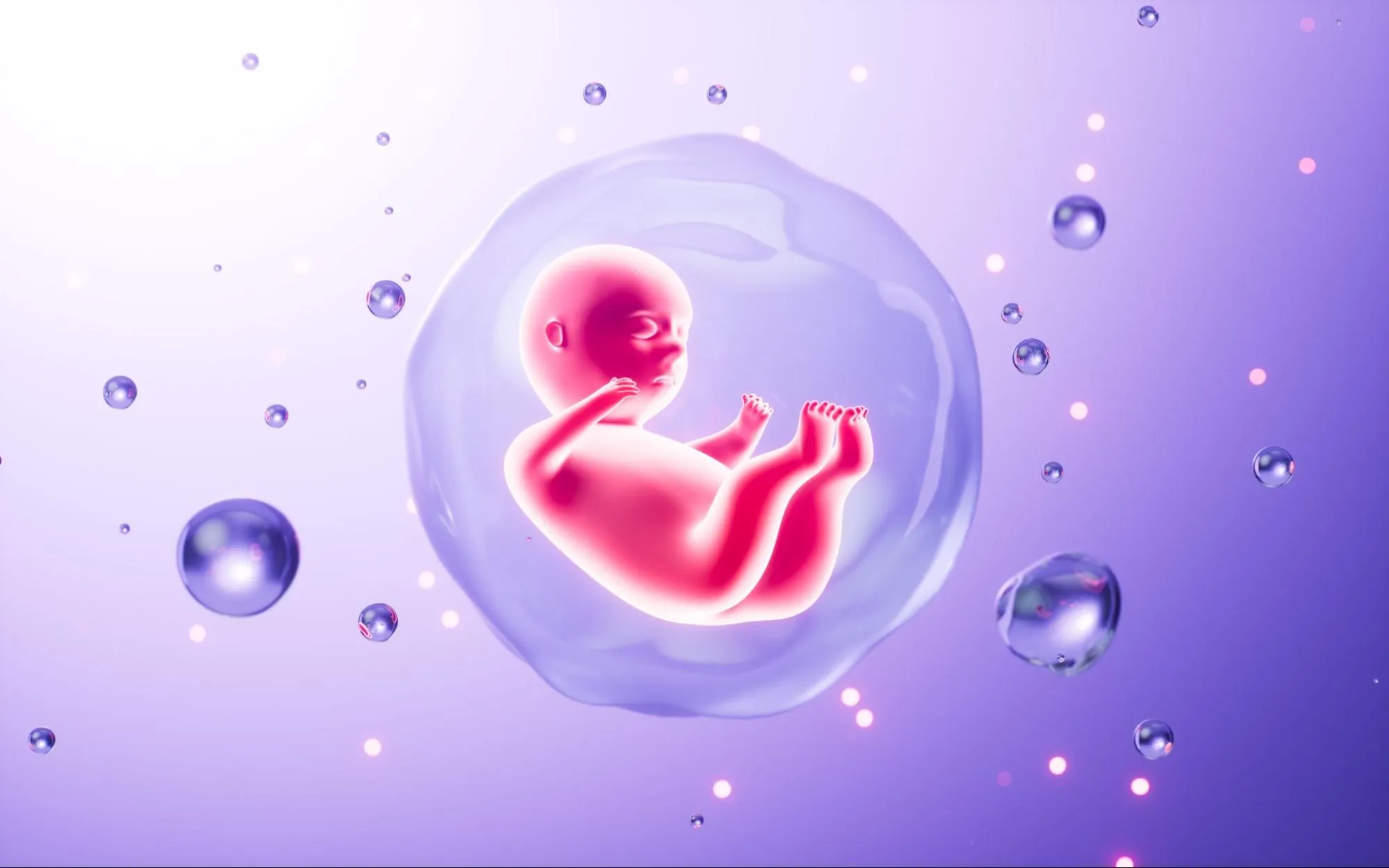 รกหรือ Placenta คืออะไร