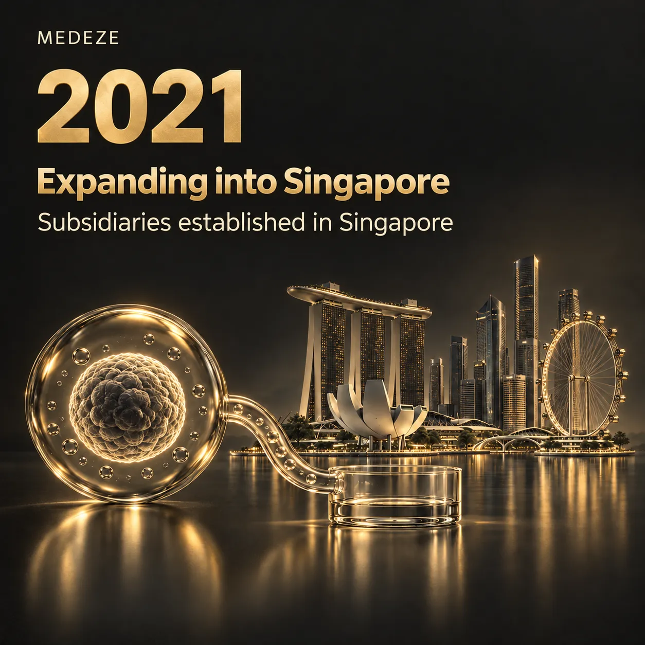 2021, Expanding into Singapore: subsidiaries established in Singapore