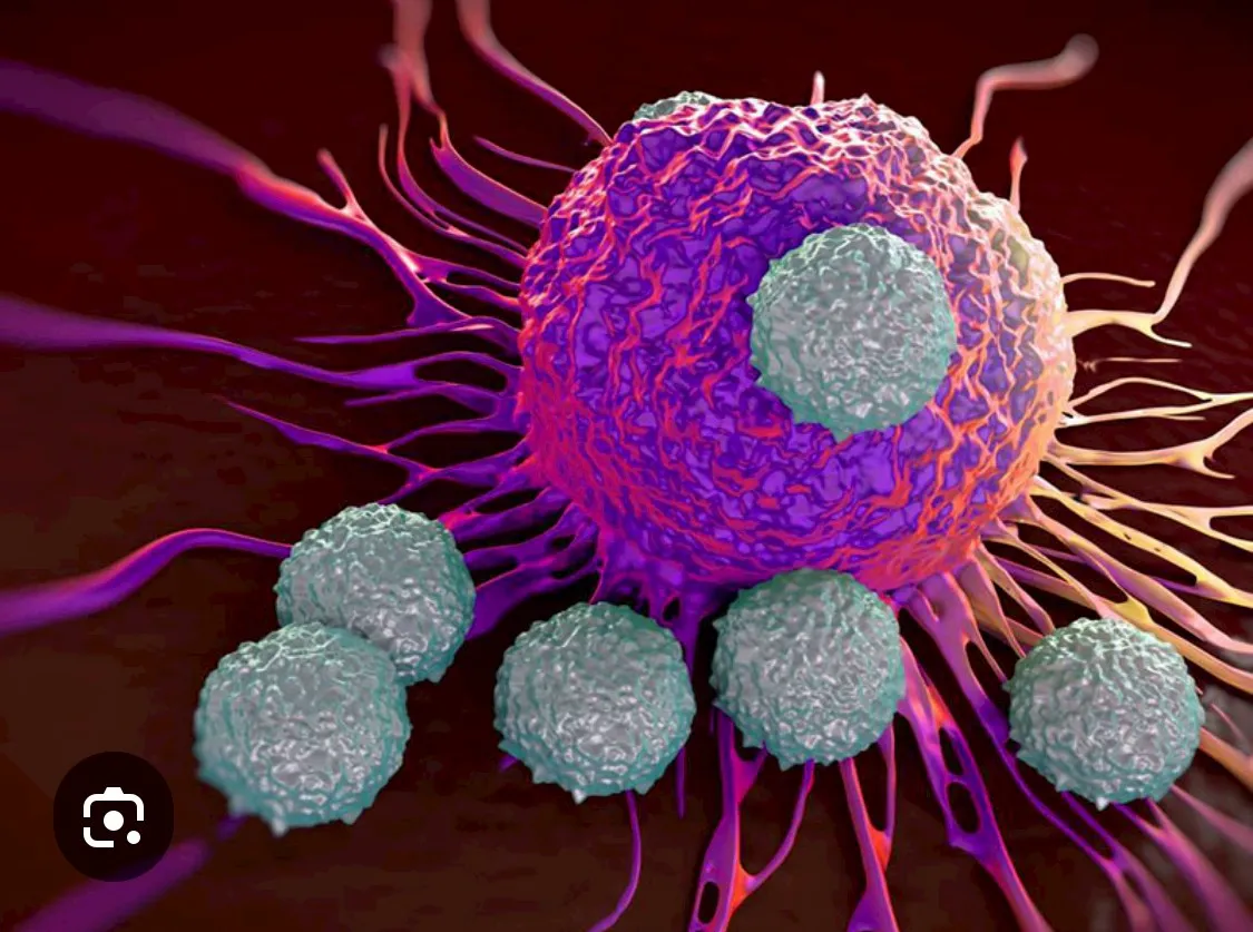 NK Cell คืออะไร? เซลล์ภูมิคุ้มกันที่ช่วยกำจัดไวรัสและเซลล์มะเร็ง