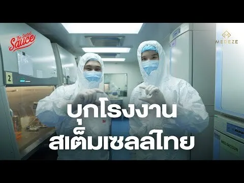 MEDEZE บริษัทสเต็มเซลล์ไทย